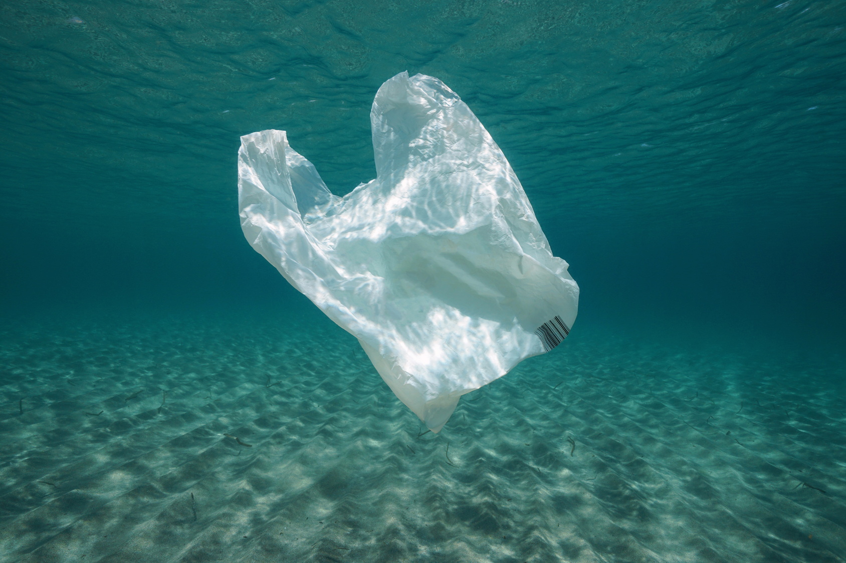 Wir vermeiden Plastik!